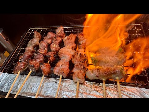 日本の伝統的バーベキュー感のある焼き鳥をバスカーハイでキメるだけの動画