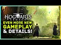 Hogwarts Legacy - Even More NEW Gameplay Reveals!! Secrets, Headmaster Simon Pegg, Details & More...