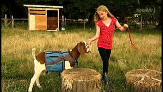 preview picture of video 'Pet Tales - 4-H Goats, Shaw TV Nanaimo Ch.4'