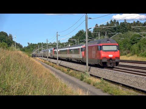 Daily Swiss Train - SBB IC 81 nach Romanshorn auf der NBS #train #switzerland #trainspotting