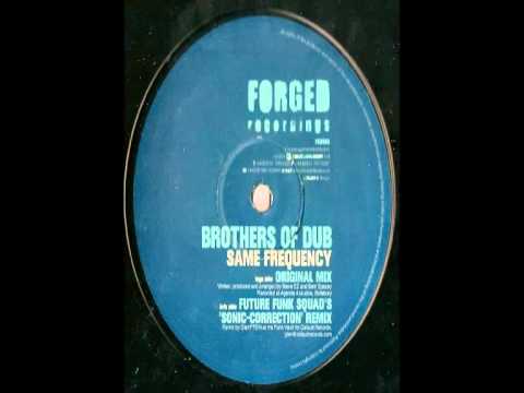 Brothers Of Dub -- Same Frequency (Future Funk Squad's 'Sonic Correction' Remix)