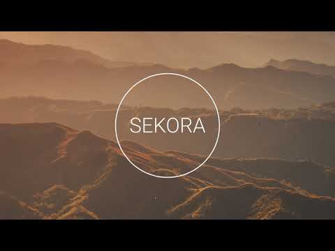 Jerro feat. Beacon - Go Back Now