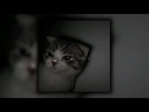 лифон - uniqe, nkeeei, ARTEM SHILOVETS feat. SAGARA (speed up)