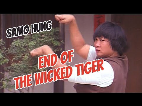 Wu Tang Collection - End Of The Wicked Tigers