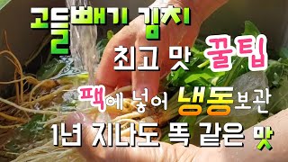 고들빼  맛은 절이기부터 시작된다, 고들빼기 김치 최고로 맛나게 담는 비법 꿀팁 공개,