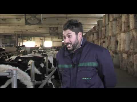 Može bolje ep. 43 03.02.2018. Mlečno govedarstvo