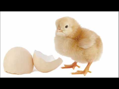 The Ultimate Answer to the Ultimate Question