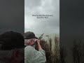 Have You Ever Seen A Better Shot Than This? #duck #hunting