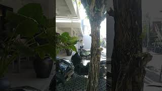 Download lagu Canggu #Nude cafe #shorts mp3