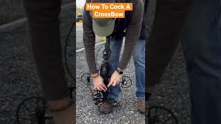 How To Cock A Crossbow #bear #bearxcrossbow