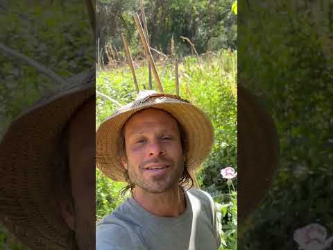 Presentación de La Milpa de Londres. Catamarca. Argentina