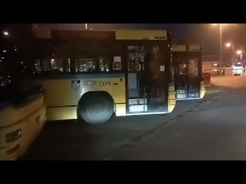 Preostali Japanci i Ikarbusi