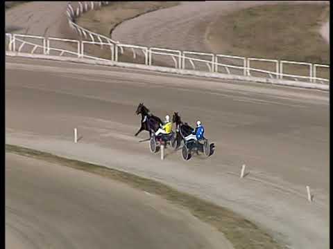 Trotto 11/01/2019 - 2ª prova di qualifica