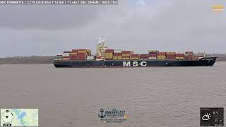 MSC FIAMMETTA mit vollem Tiefgang (14m) passiert Elbcam Grauerort! 🚢