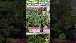 Fastest Way to Start a Garden (But It’s Expensive…)
