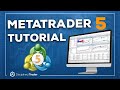 Complete MetaTrader 5 Tutorial For Beginners 2024 Edition