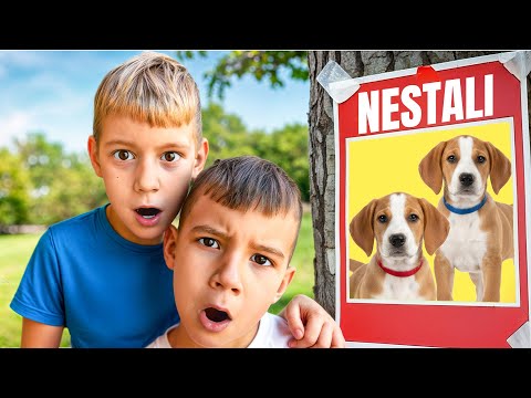 NESTALI SU NAM PSI…