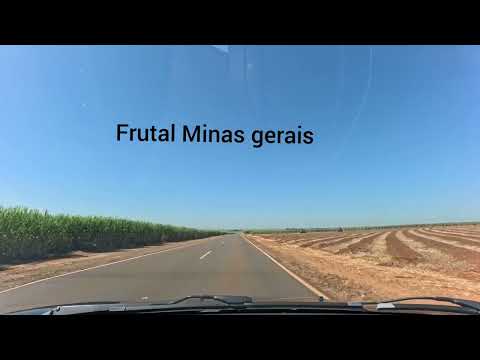 Andando pelos canaviais paulista cortando caminho até Macatuba SP.