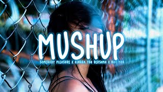 Download lagu DJ Mushup Terbaru - Somebody's Pleasure X Hingga Tua Bersama X Not You mp3