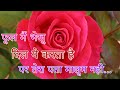 Phool Me Bheju Dil Ye Karta Tera Pata Maloom Nahi Love Whatsapp Status Gulrez Siddiqui