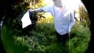 deerhoof - come see the duck