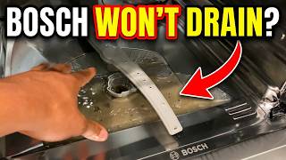 Your Bosch Dishwasher Won't Drain — Here's Why