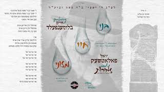 Reb Shayaleh - Yoily Polatseck, Zemiros, Chaim Blumenfeld | יואל פאלאטשעק, זמירות, חיים בלומענפעלד