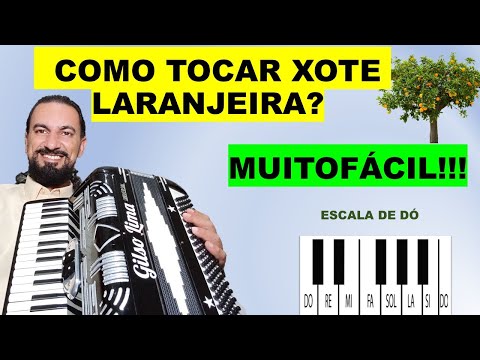 ACORDEON PARA INICIANTE - XOTE LARANJEIRA - ESCALA DÓ