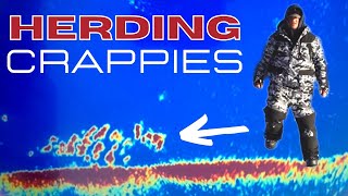 Early Ice Crappie Fishing (How to Catch Spooky Crappies) Herding Crappies w/ Garmin LVS34 LiveScope