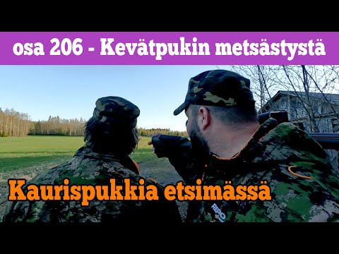 Osa 206 - Kaurispukin metsästystä - 2021/2022