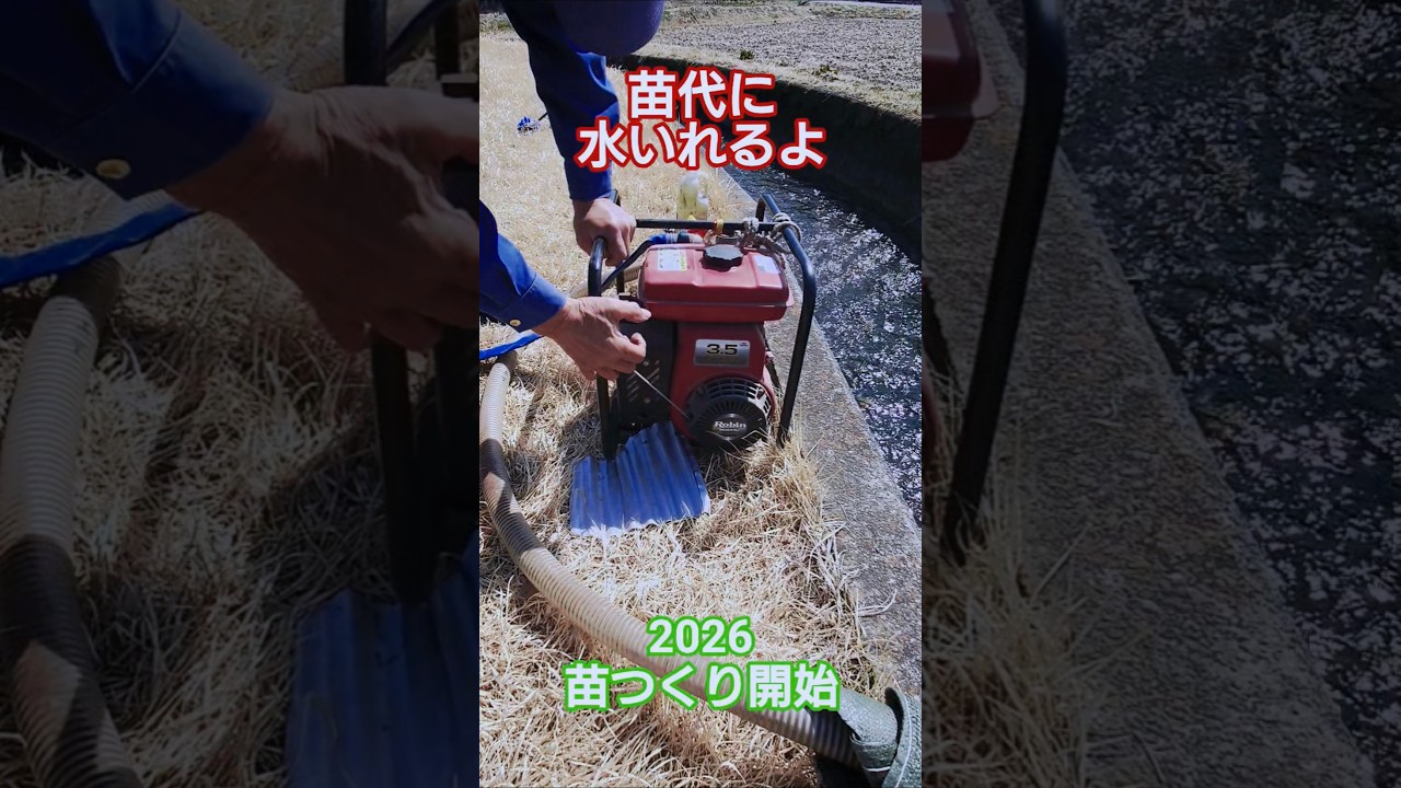 苗作り開始したよ