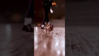 Download lagu Miquel Jackson Hui huía mp3 Download lagu Miquel Jackson Hui huía mp3