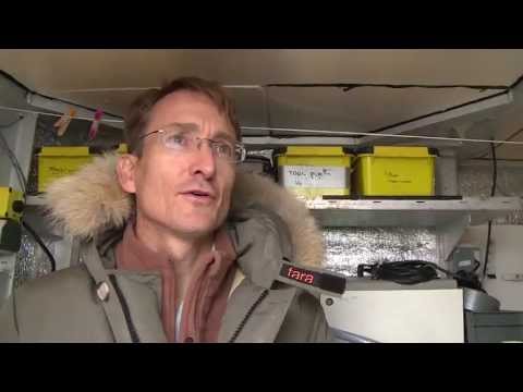 Le mot du chef scientifique - Expédition Tara Oceans Polar Circle - 25 sept 2013