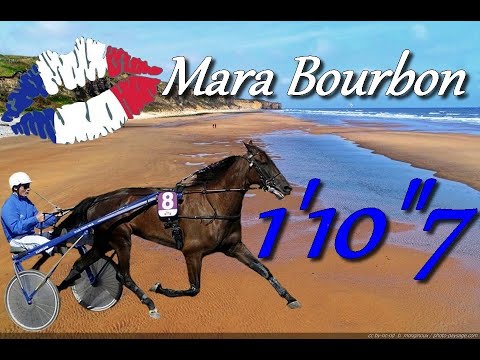HOMMAGE A MARA BOURBON