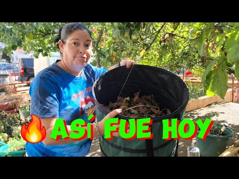 Un viernes que termino diferente...