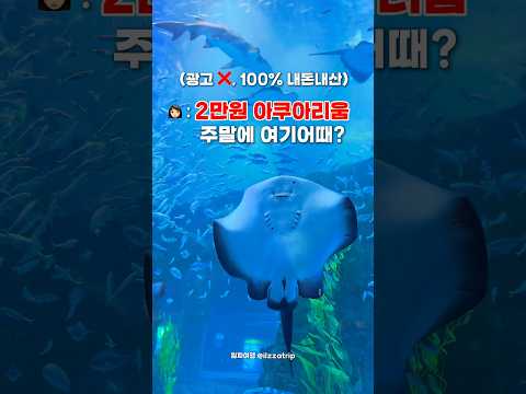 세상에서 가장 착한 말이 우리에게 주는 교훈