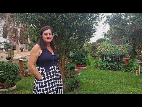 Nunca vi um sítio tão lindo como esse . O jardim encantado da Neusa.