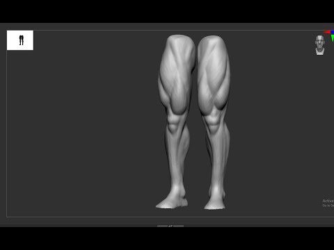LEGS anatomy in zbrush #art #zbrush #viral #digitalart #conceptart #anatomy