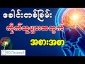 ခေါင်းတစ်‌ခြမ်းကိုက်တက်သူများ စားပေးရမည့် အစားစာ ၁၀ မျိုး 10 foods for migraines onechannel