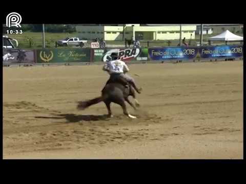 Bocal de Ouro Esteio (RS) – 8° lugar fêmeas – Jaguariuna Cimarron