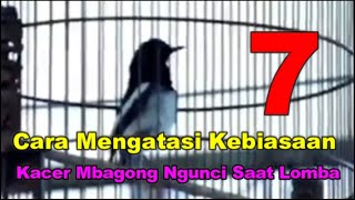 Download lagu Cara Mengatasi Kebiasaan Kacer Mbagong Ngunci Saat Lomba mp3