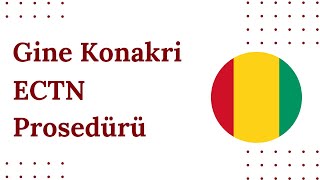 Gine Konakri ECTN Prosedürü | Gine’ye Gönderiler İçin Zorunlu Belge