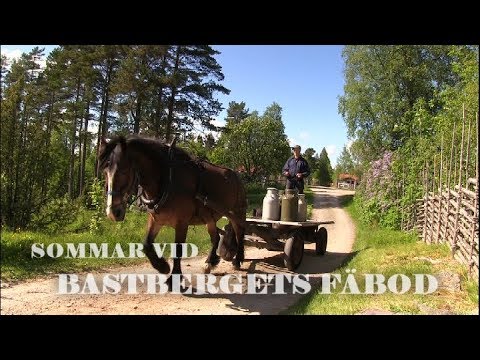 Sommar vid Bastbergets fäbod (ur Södra Dalarne TV)