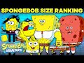 SpongeBob Ranking By Size SpongeBob