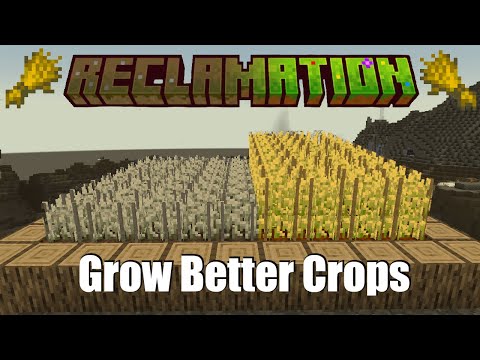 How to Agricraft - Get Perfect Crops | Reclamation Ep 2.5