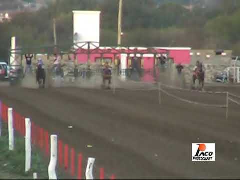 FEFE SOHAR 03 09 2017