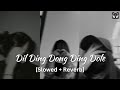 Dil Ding Dong Ding Dole Slowed Reverb Lofi With Bass