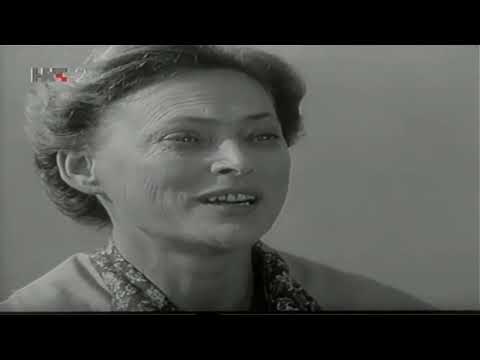 Kuda idu divlje svinje - Epizoda 4