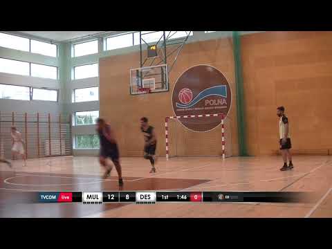 Cały mecz: Destrier vs Multisport - II Liga Warszawa - 14.06 - Koszykarska Liga Biznesu