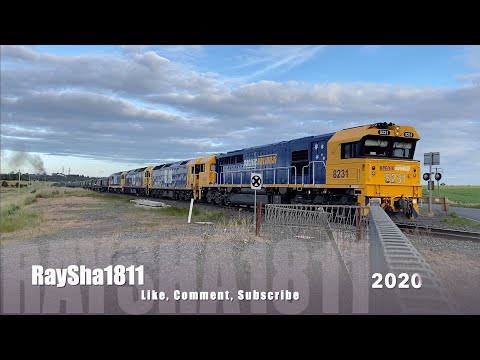 1GK5 - 8231-BL30-BL31-8124 (Grain) Moorabool - Australian Trains by Raysha1811